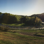 Kurve Steilstrecke an der Nordschleife